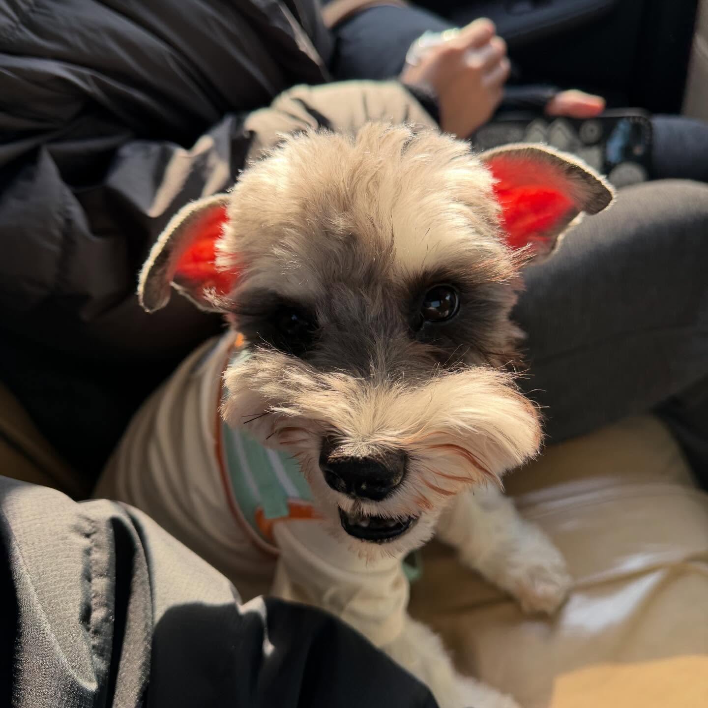 ซันนี่ - เกวลิน บุญศรัทธา