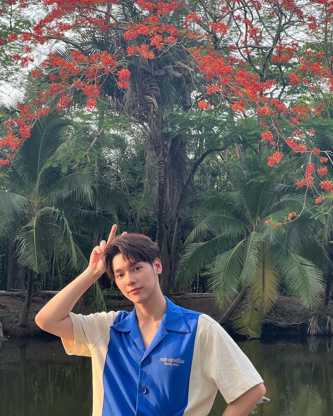 เป็นต่อ - จีรภัทร พิมานพรหม