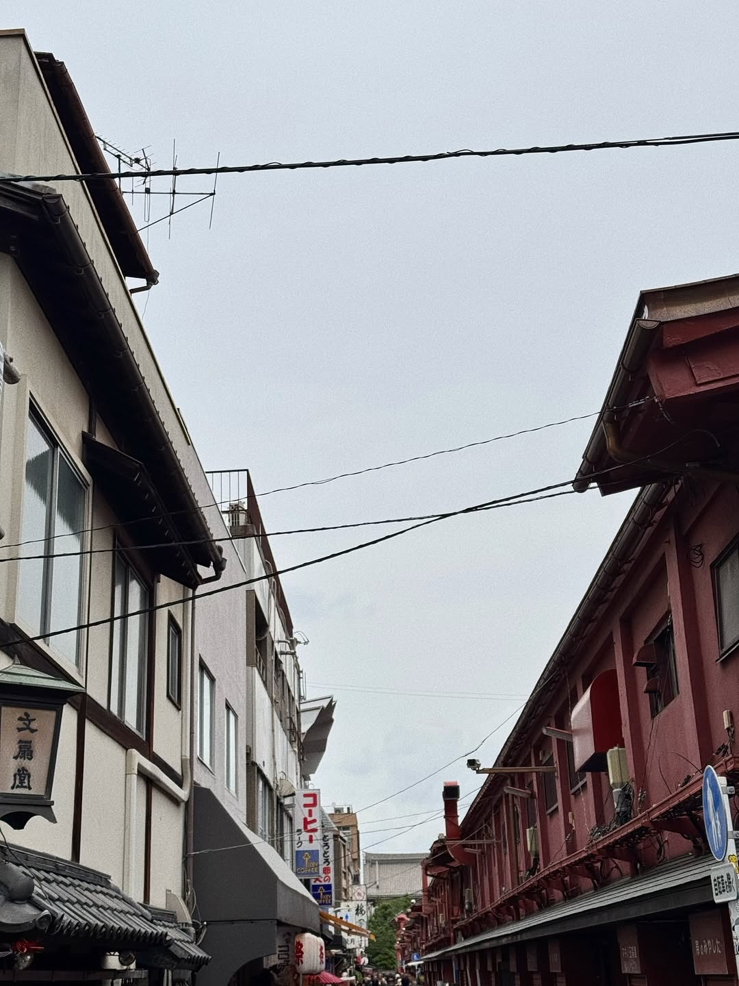 เป็นต่อ - จีรภัทร พิมานพรหม