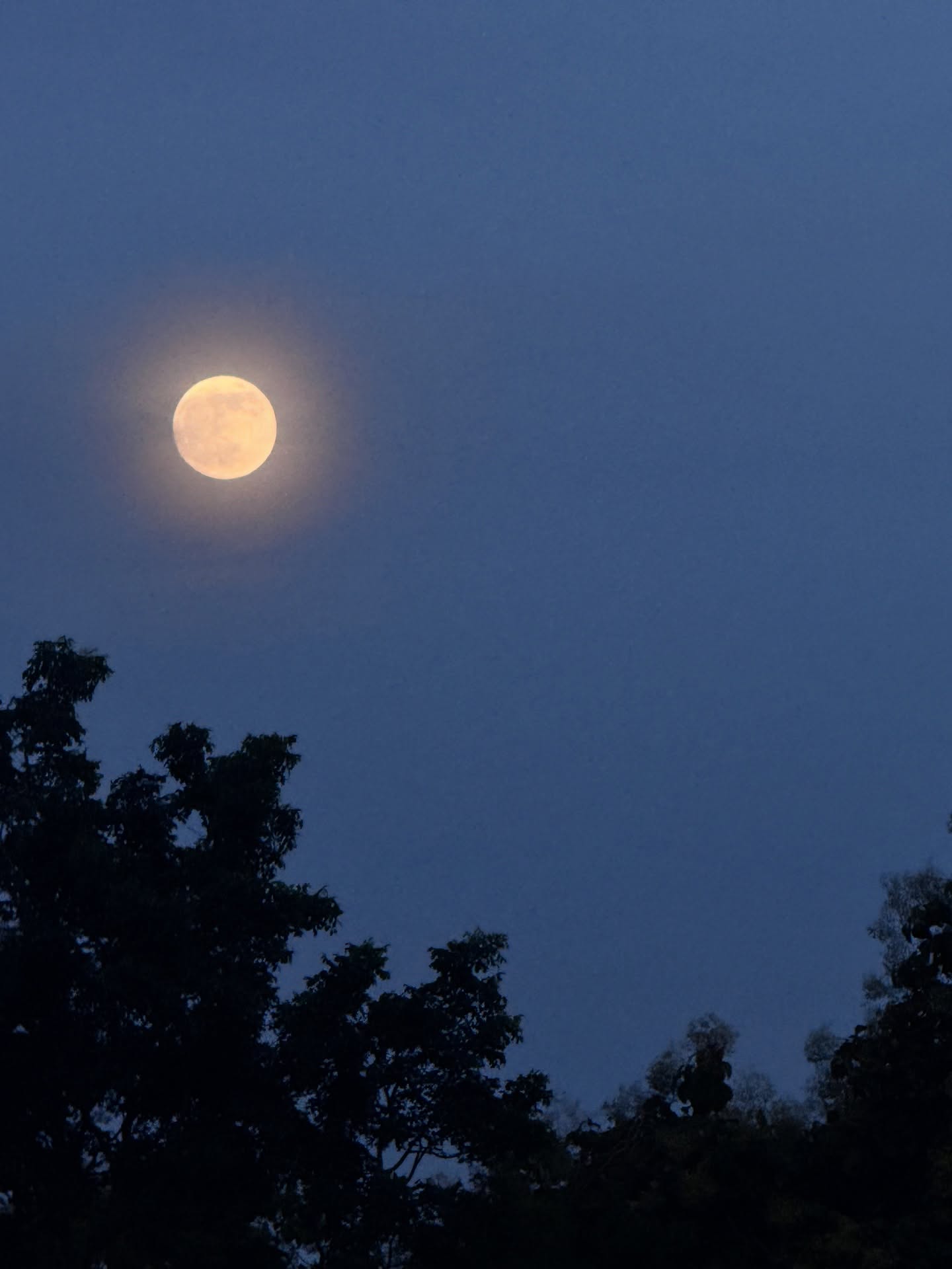 เป็นต่อ - จีรภัทร พิมานพรหม