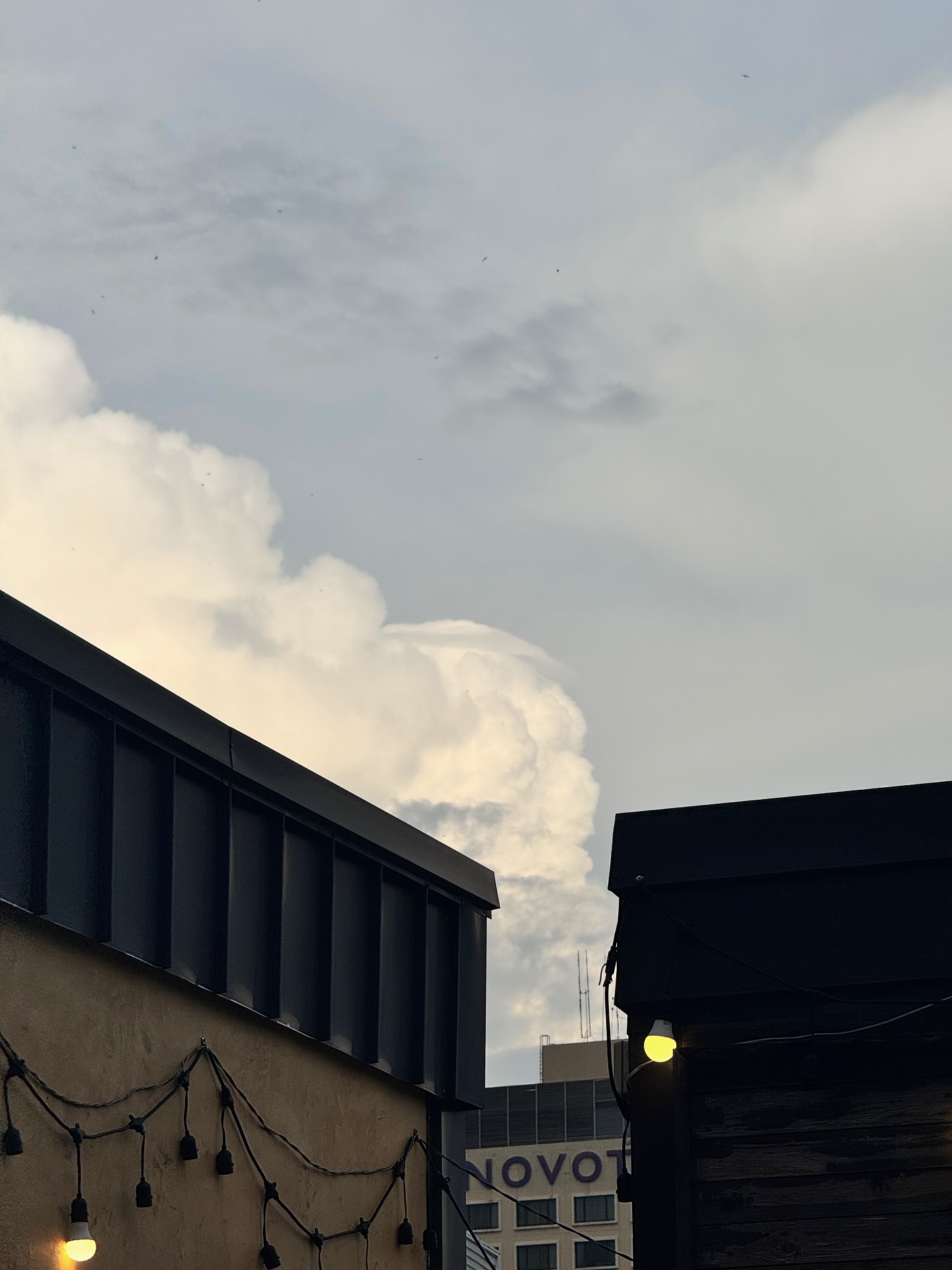 เป็นต่อ - จีรภัทร พิมานพรหม