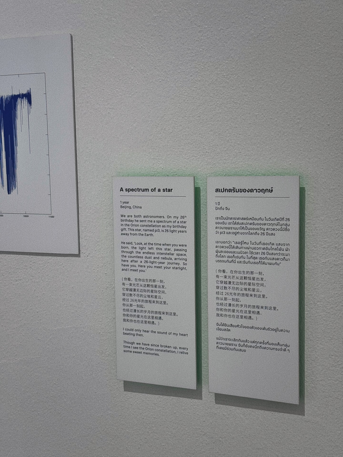 เป็นต่อ - จีรภัทร พิมานพรหม