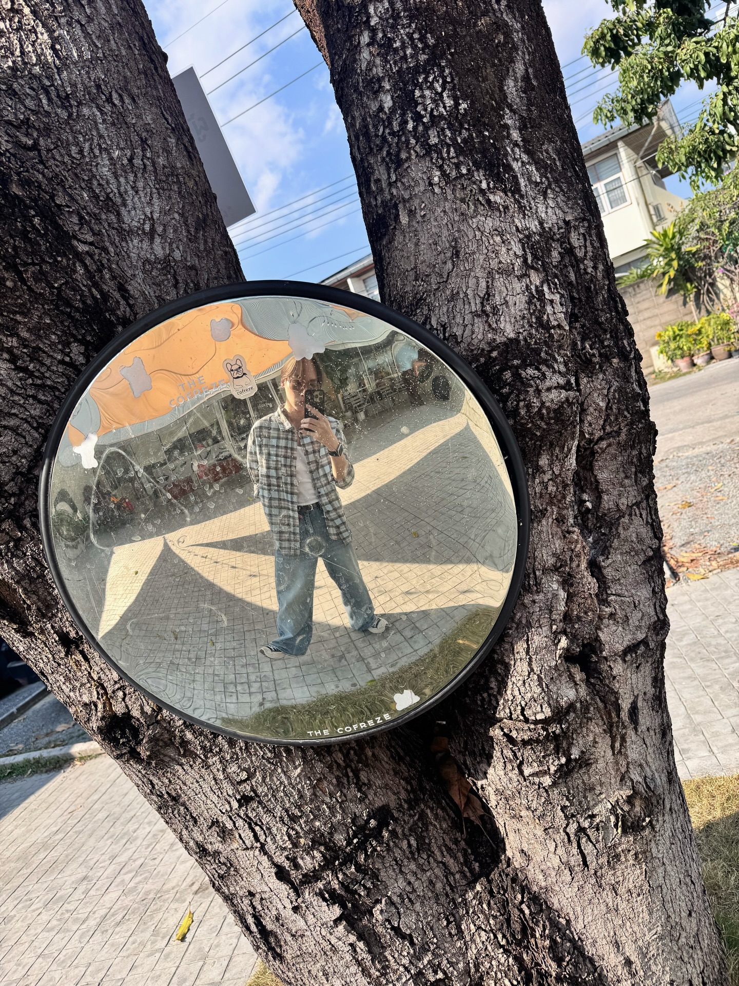 เป็นต่อ - จีรภัทร พิมานพรหม