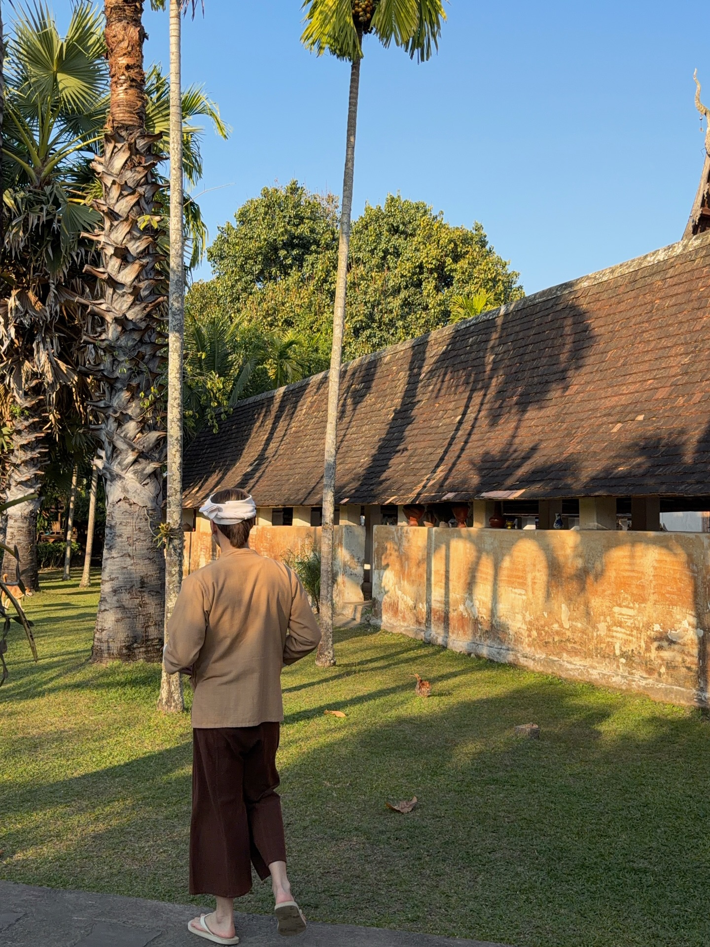 เป็นต่อ - จีรภัทร พิมานพรหม