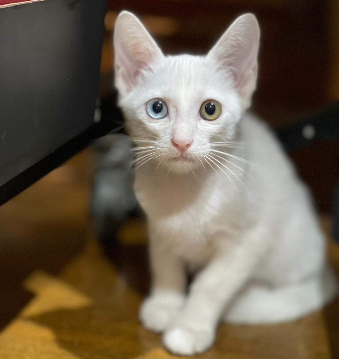 สรยุทธ สุทัศนะจินดา