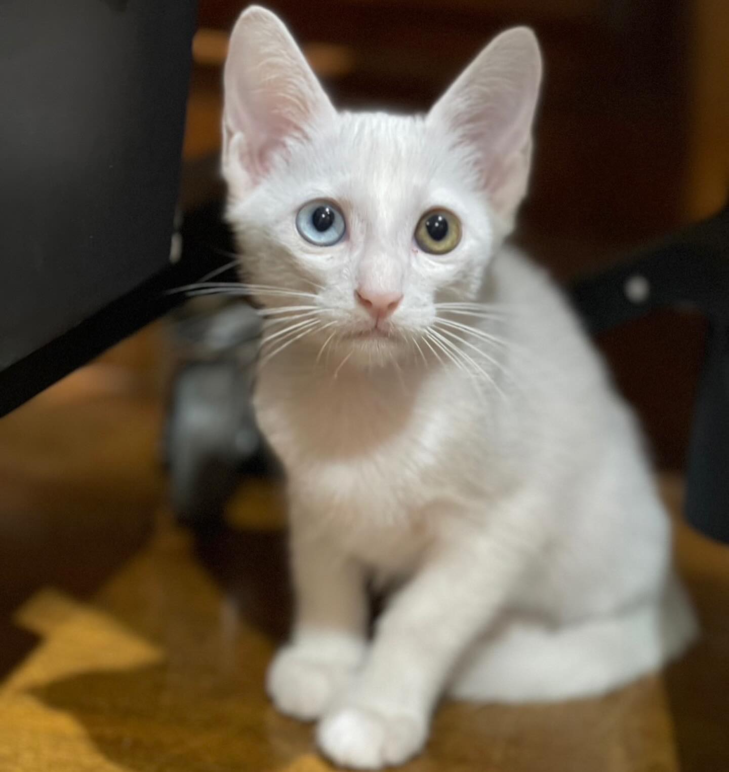 สรยุทธ สุทัศนะจินดา