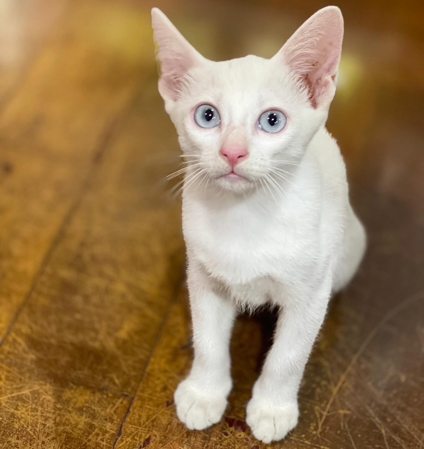 สรยุทธ สุทัศนะจินดา