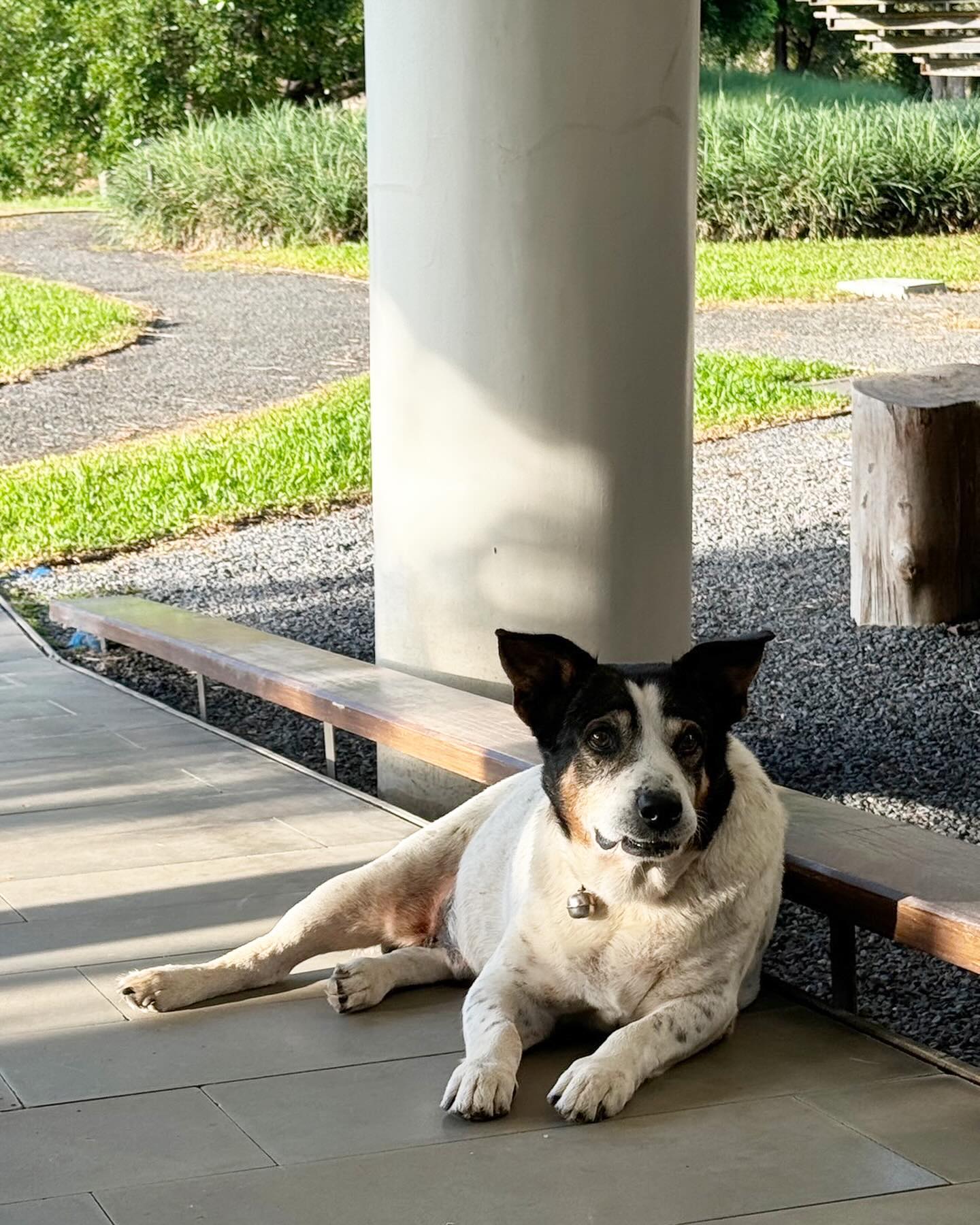 สรยุทธ สุทัศนะจินดา