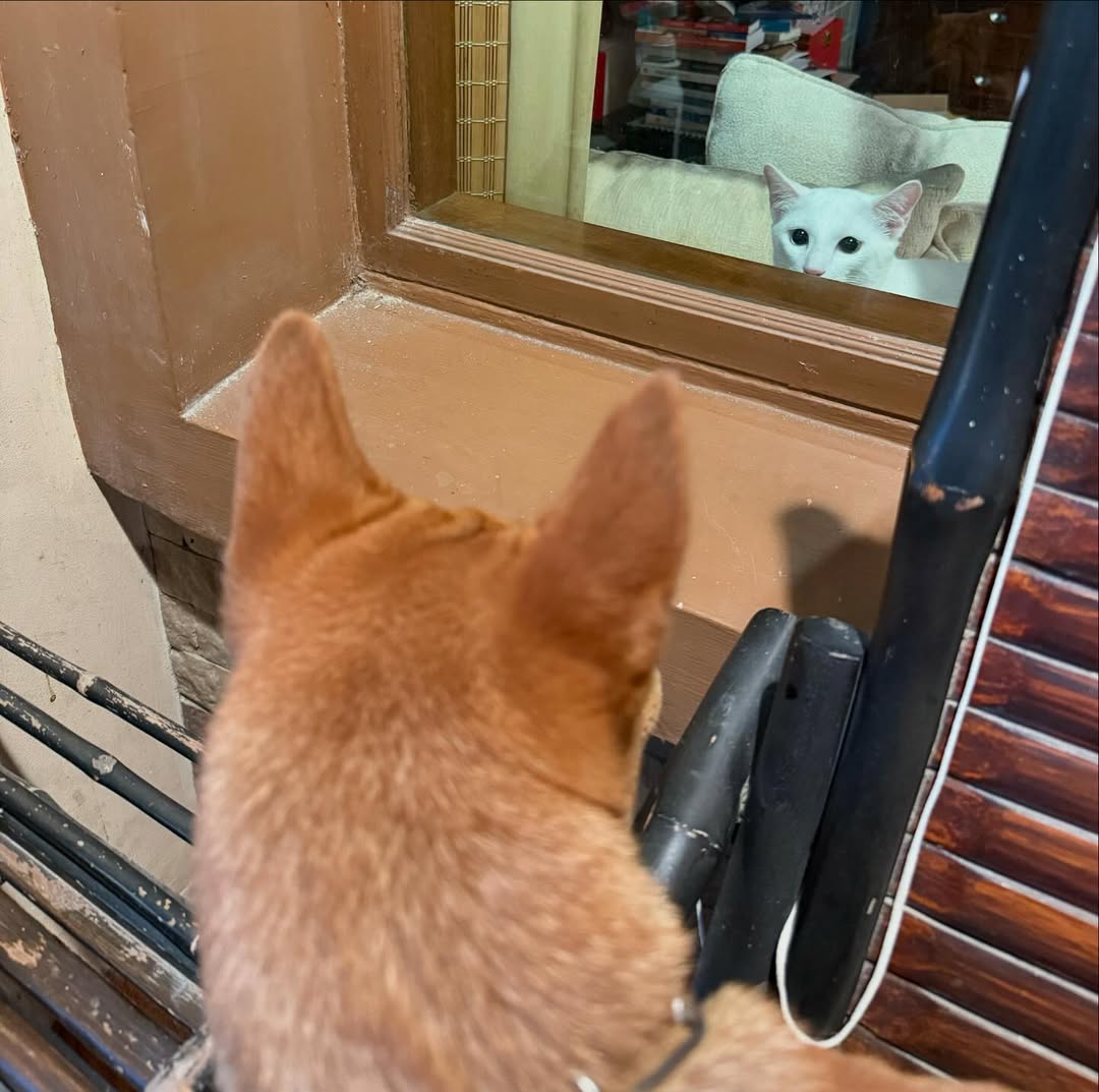 สรยุทธ สุทัศนะจินดา