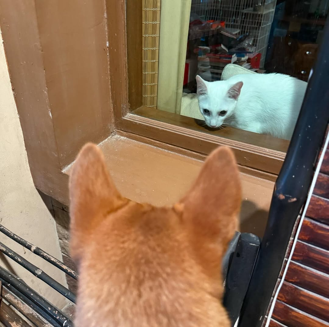 สรยุทธ สุทัศนะจินดา