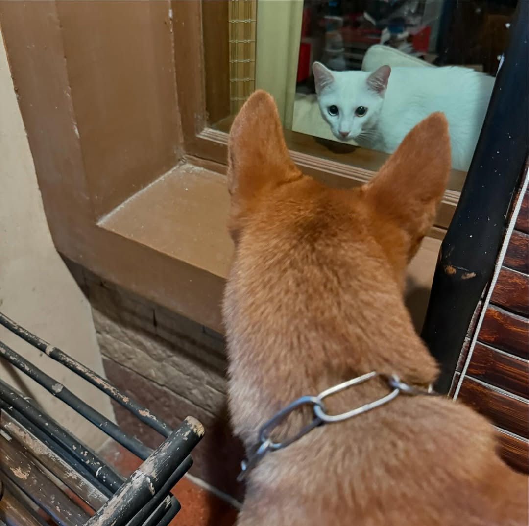 สรยุทธ สุทัศนะจินดา