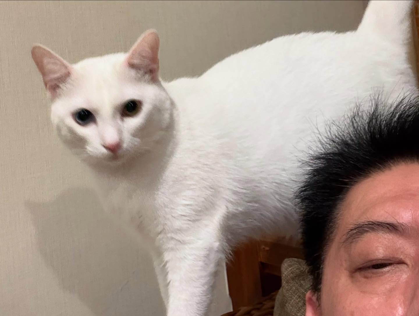 สรยุทธ สุทัศนะจินดา