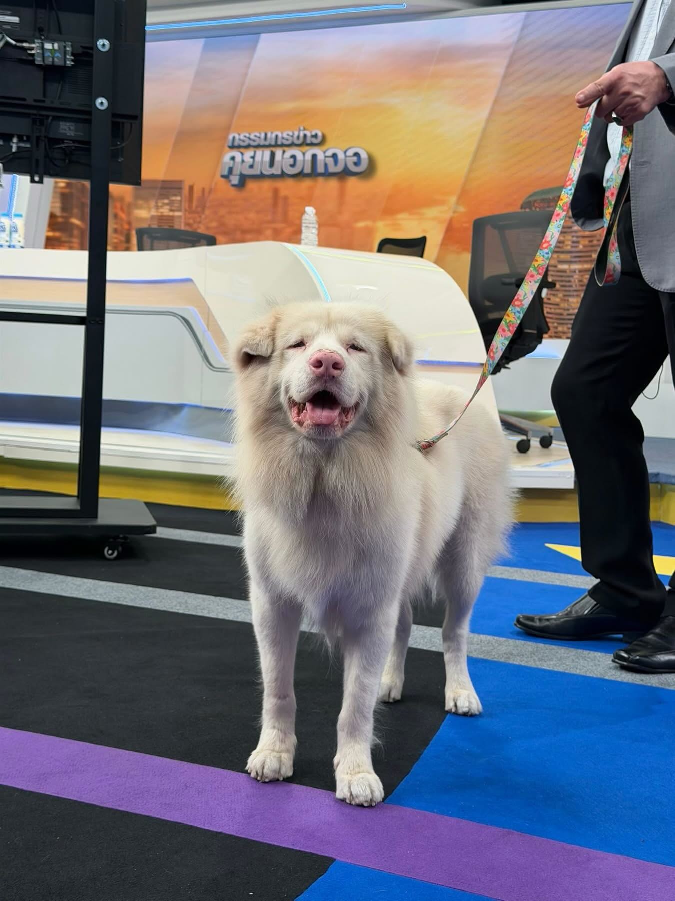 สรยุทธ สุทัศนะจินดา