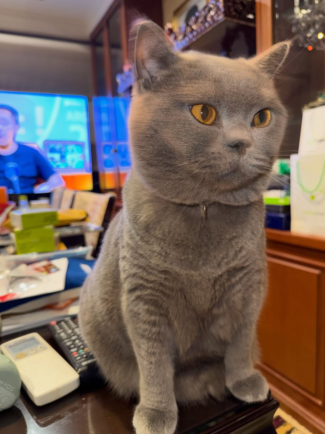 สรยุทธ สุทัศนะจินดา