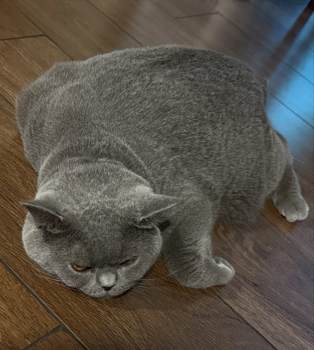 สรยุทธ สุทัศนะจินดา