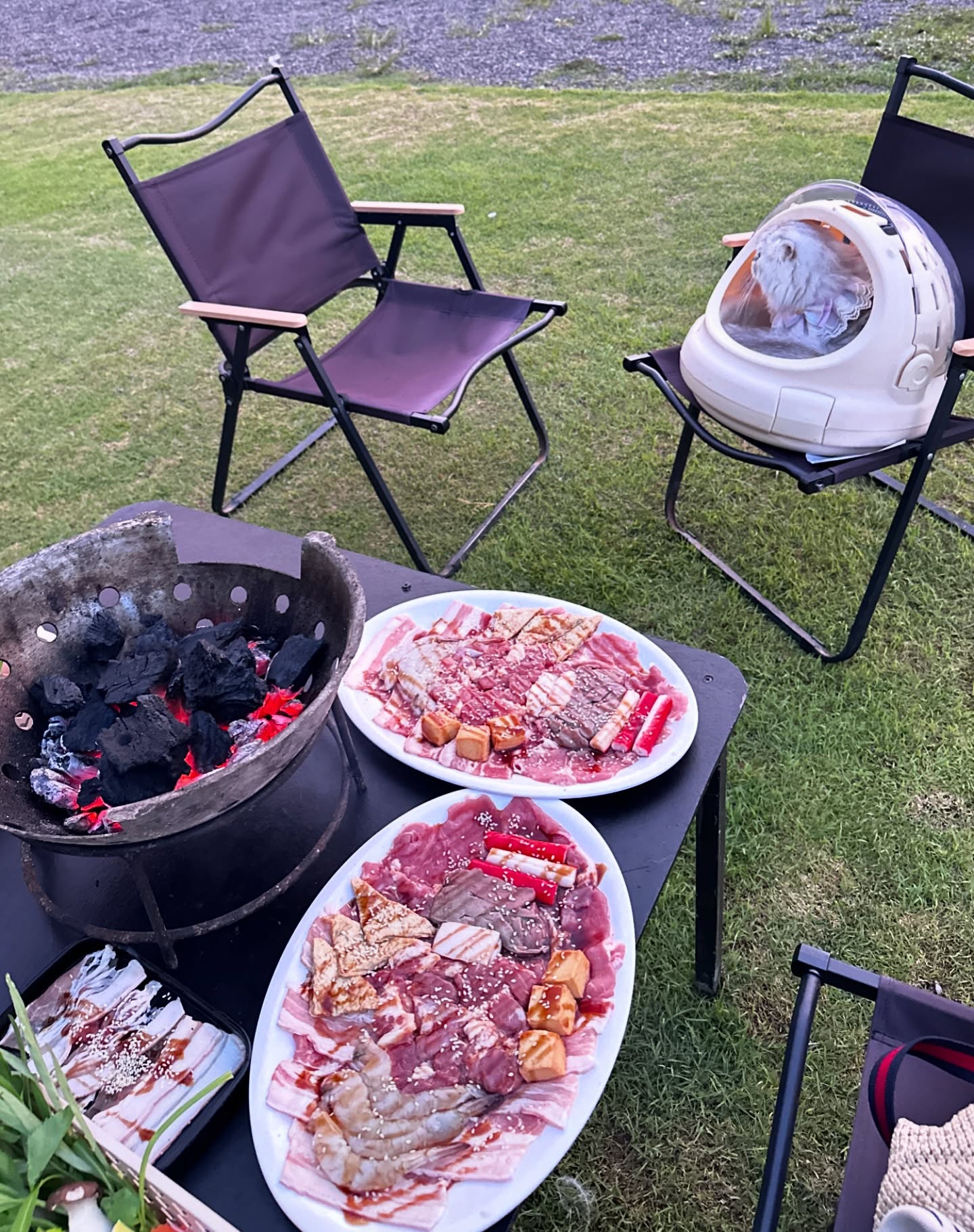 พลอยใส - ธัญลักษณ์ โชคธนเดช