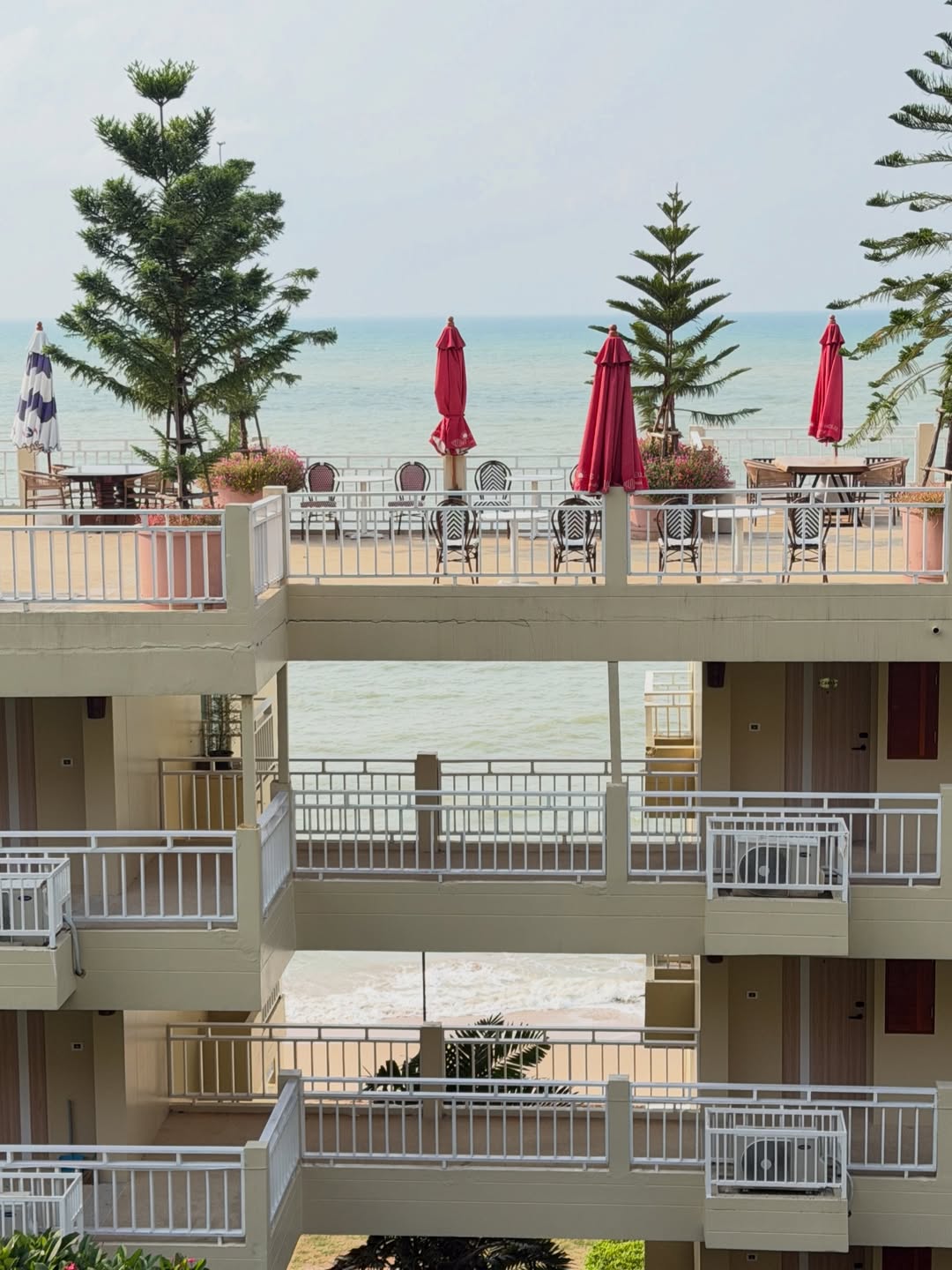 พลอยใส - ธัญลักษณ์ โชคธนเดช