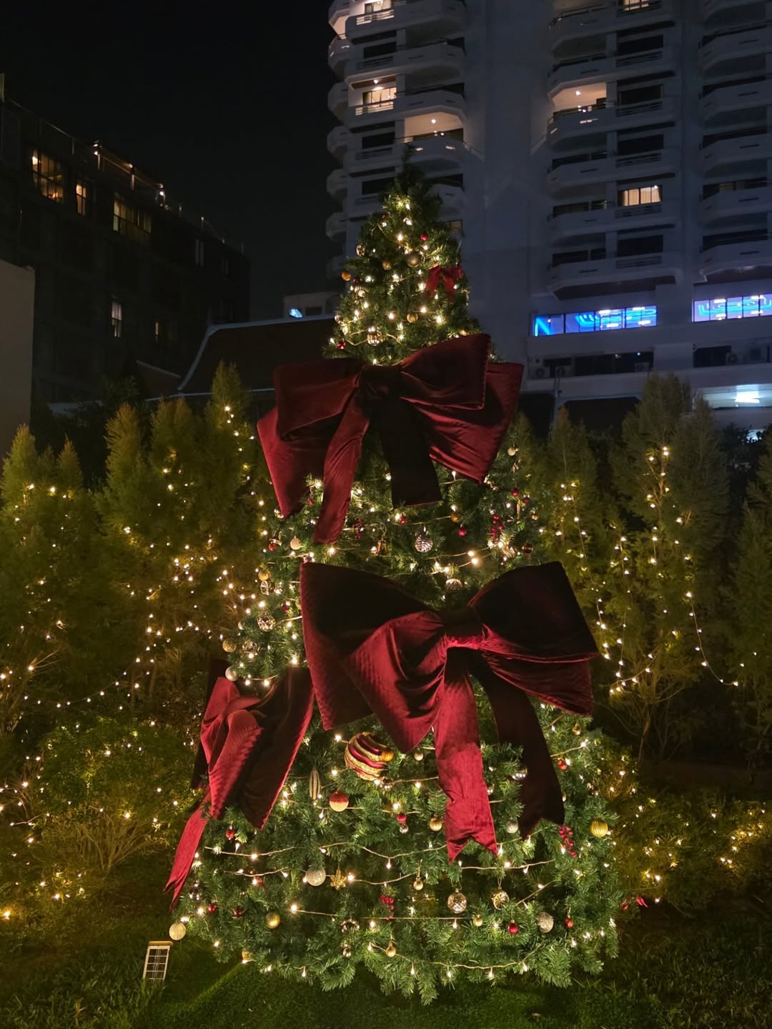 เจมีไนน์ - นรวิชญ์ ฐิติเจริญรักษ์