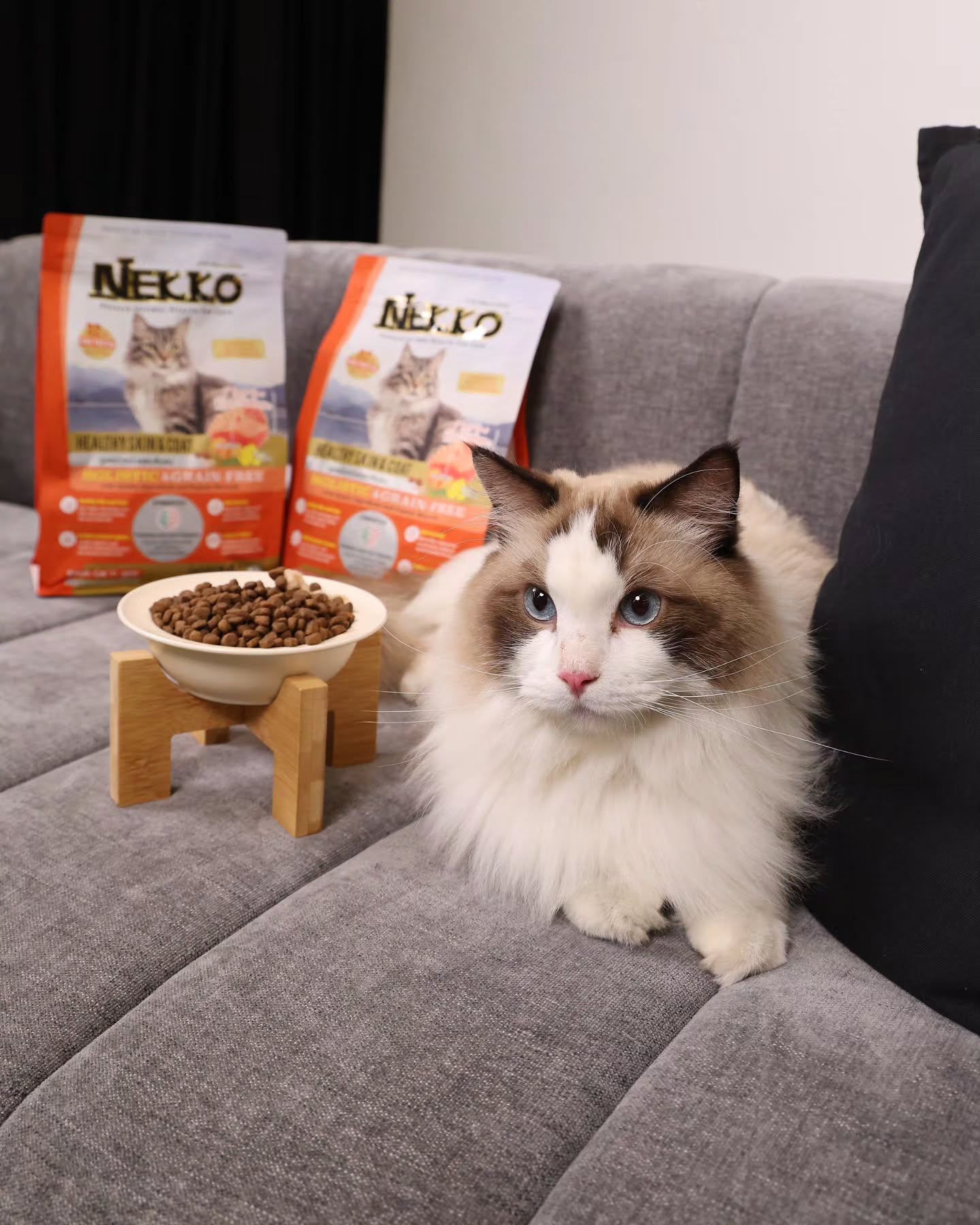 เจมีไนน์ - นรวิชญ์ ฐิติเจริญรักษ์