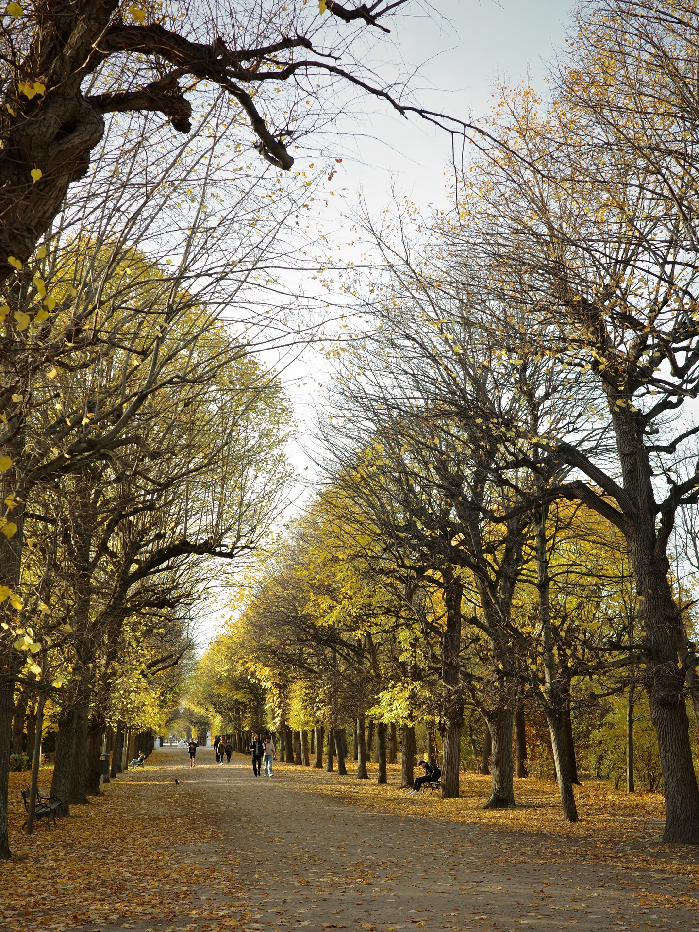 แชมป์ - ชนาธิป โพธิ์ทองคำ