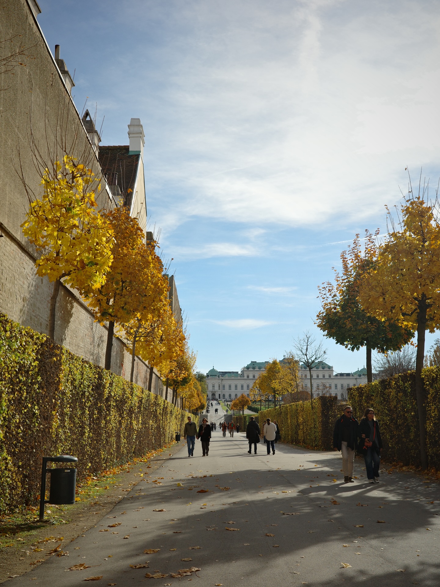 แชมป์ - ชนาธิป โพธิ์ทองคำ