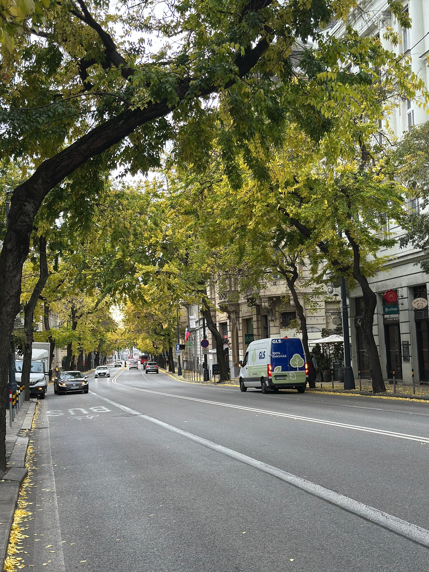 แชมป์ - ชนาธิป โพธิ์ทองคำ