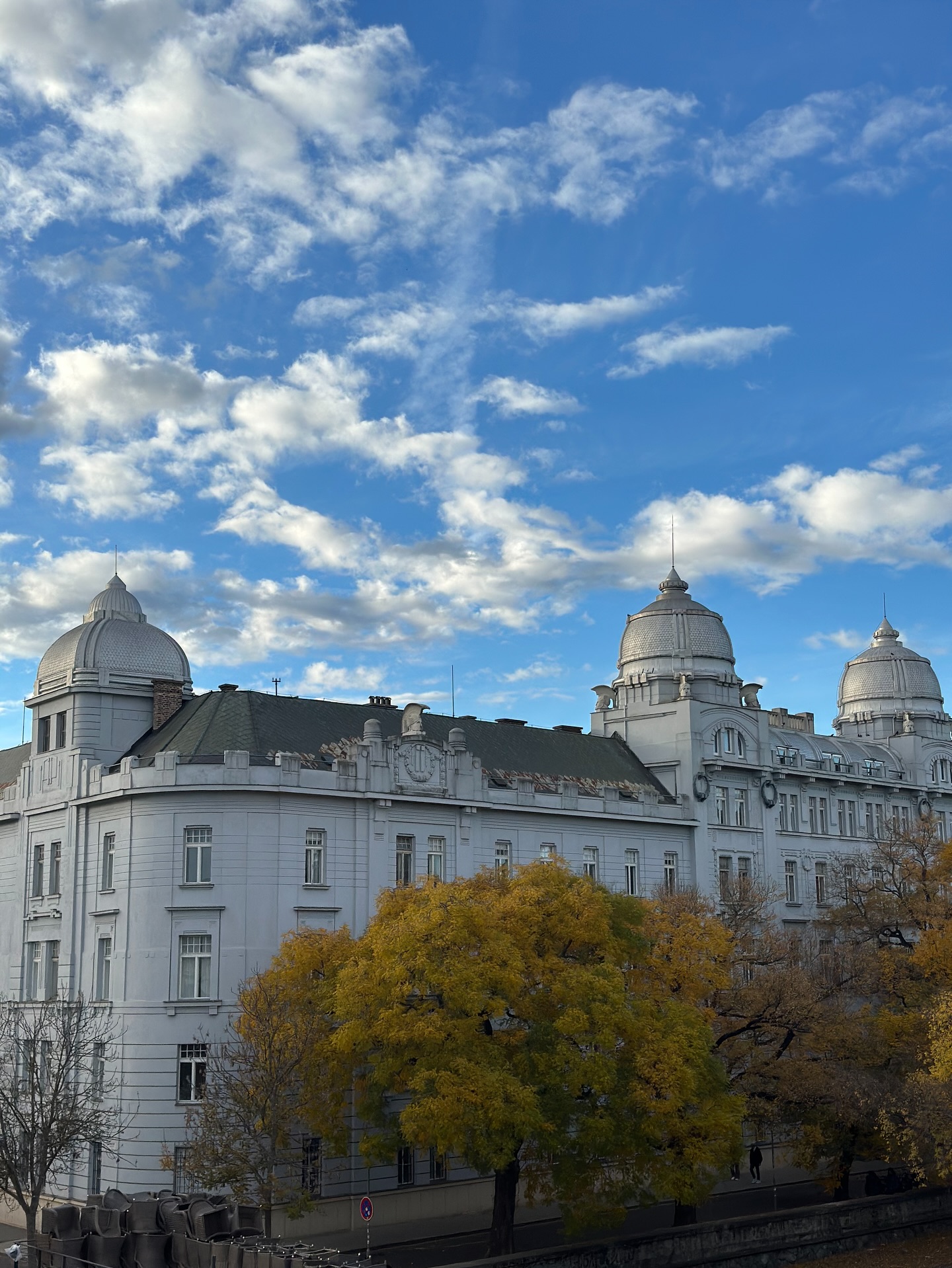 แชมป์ - ชนาธิป โพธิ์ทองคำ