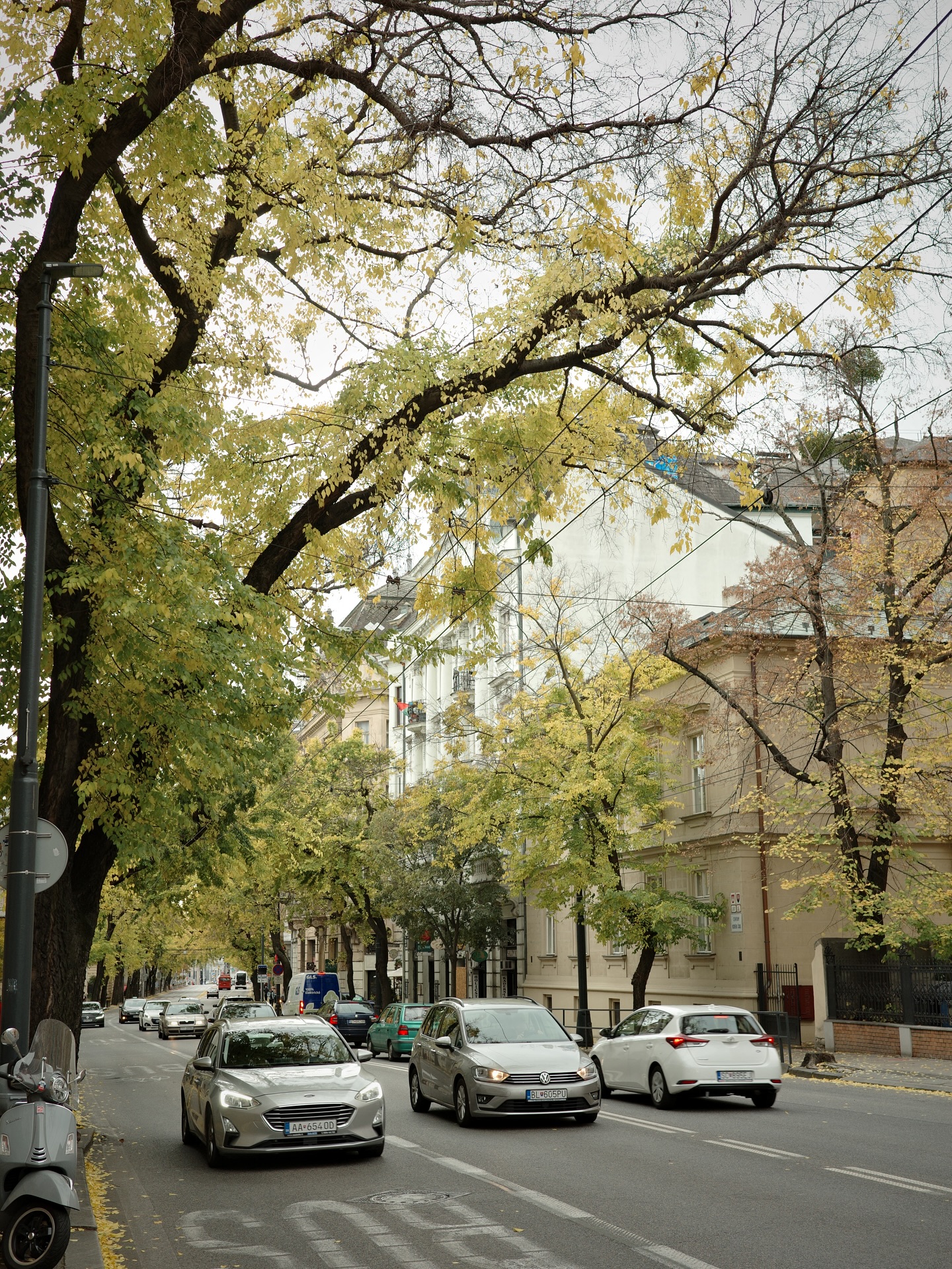 แชมป์ - ชนาธิป โพธิ์ทองคำ