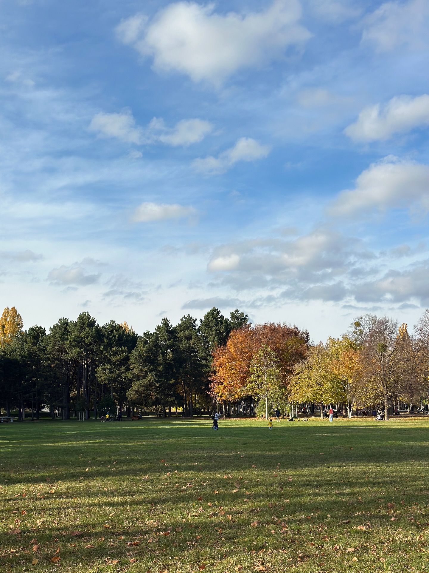 แชมป์ - ชนาธิป โพธิ์ทองคำ
