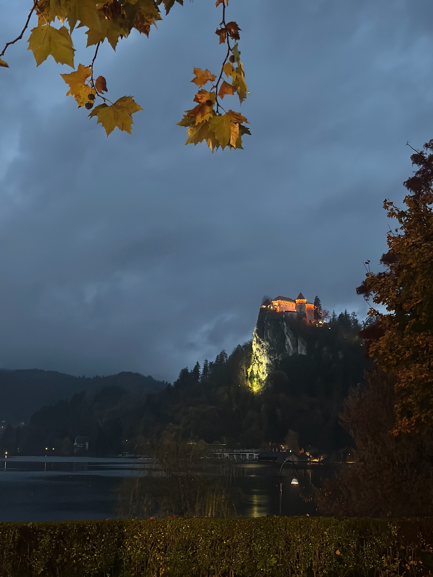 แชมป์ - ชนาธิป โพธิ์ทองคำ