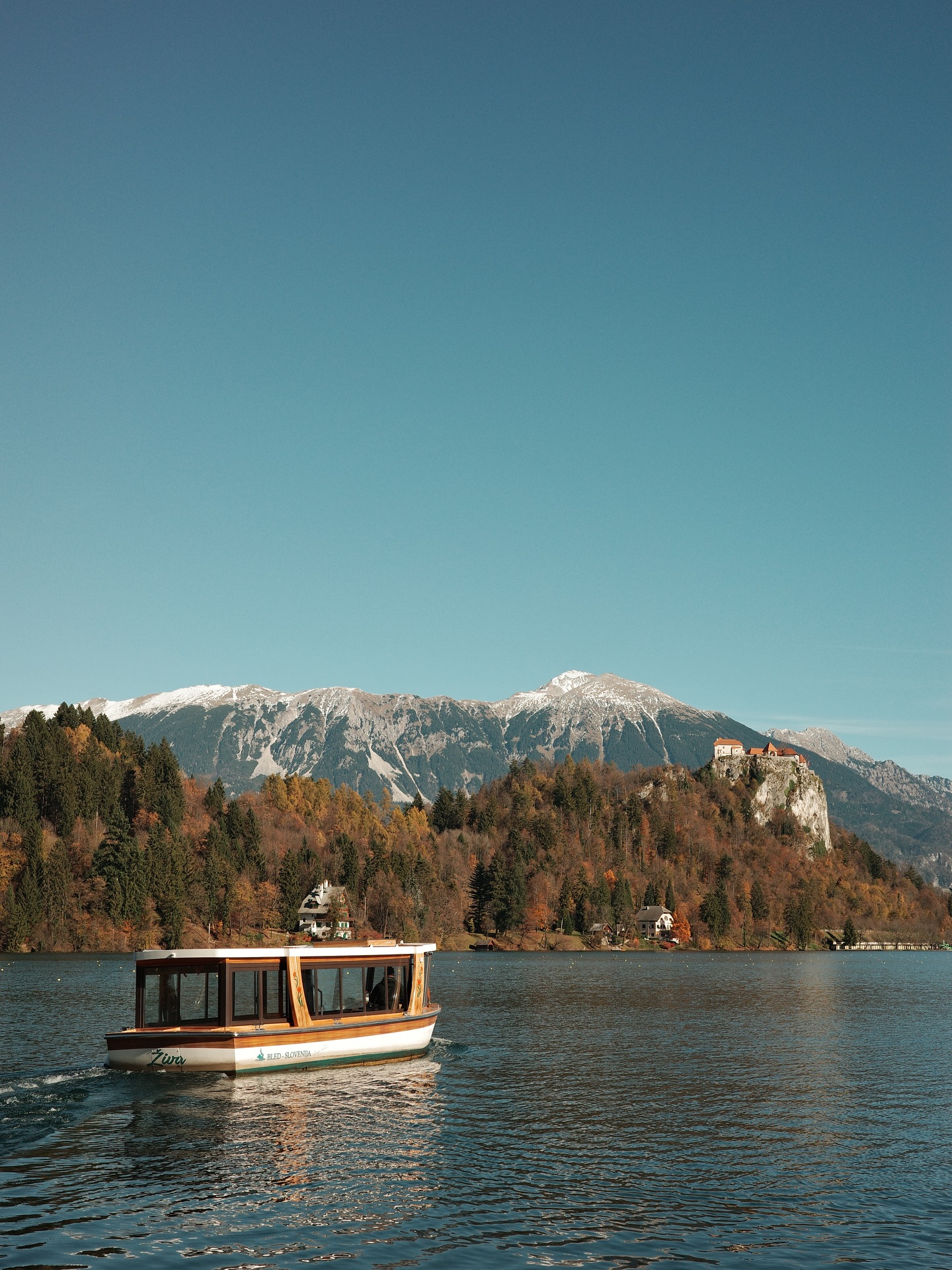 แชมป์ - ชนาธิป โพธิ์ทองคำ