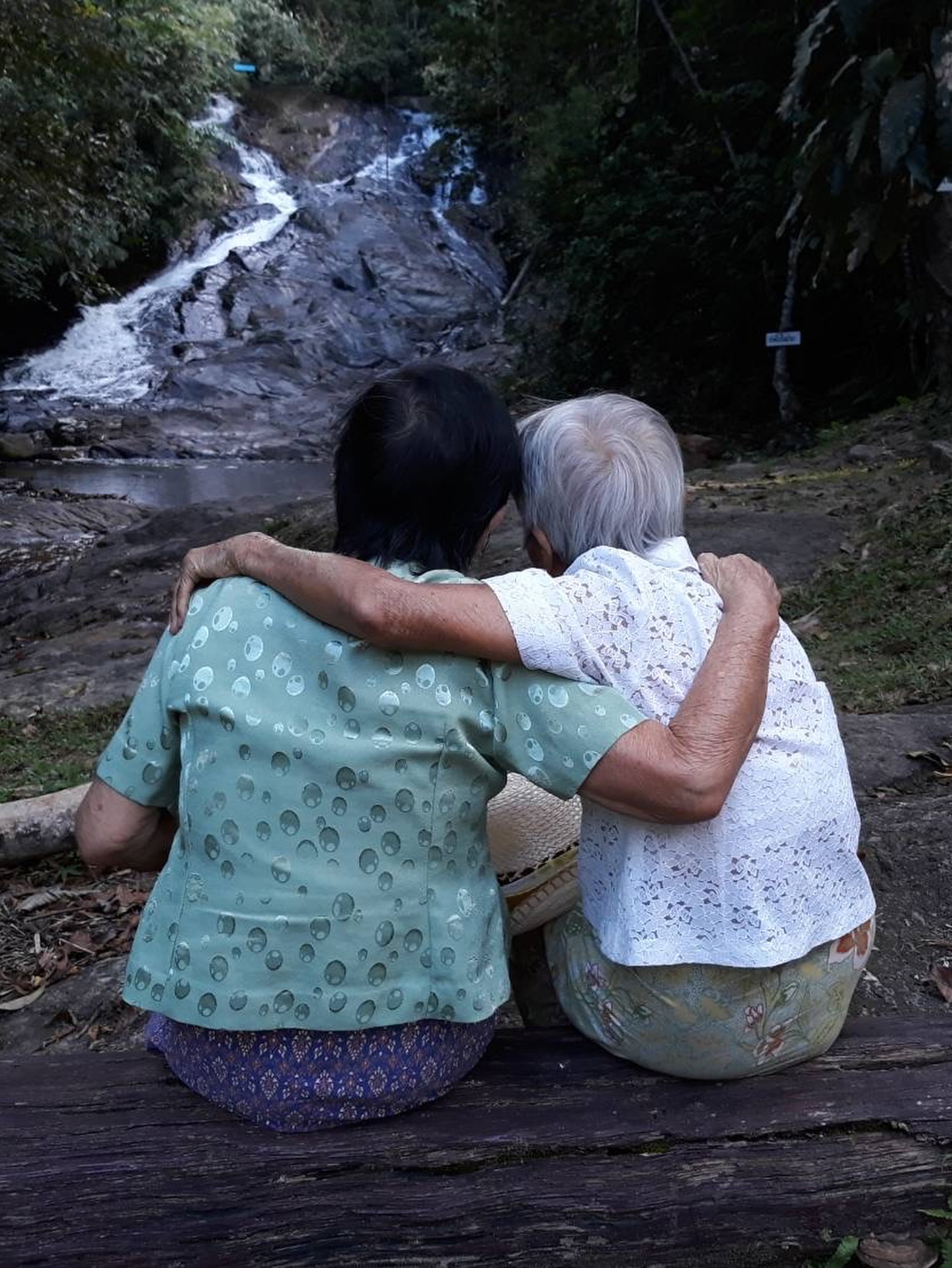 แชมป์ - ชนาธิป โพธิ์ทองคำ