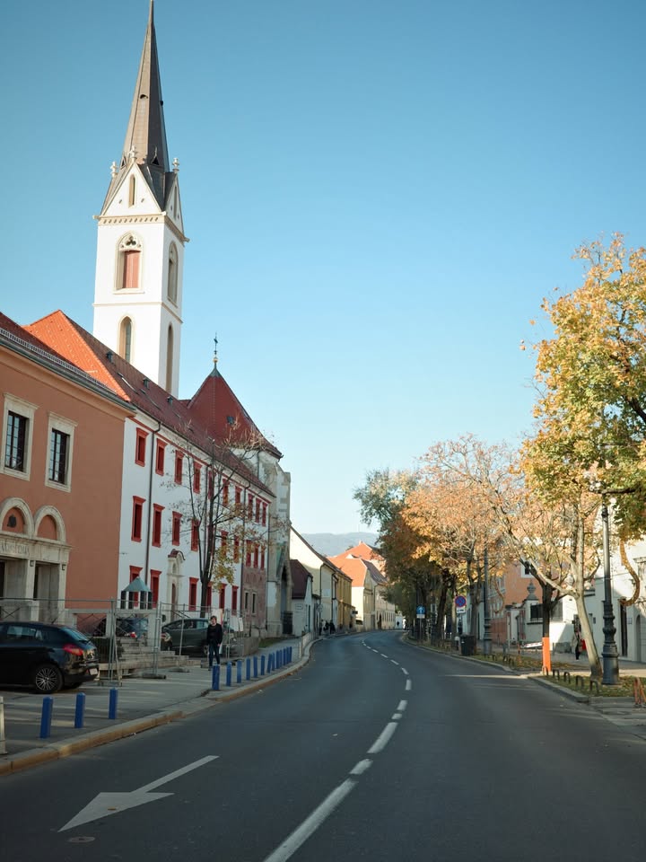 แชมป์ - ชนาธิป โพธิ์ทองคำ