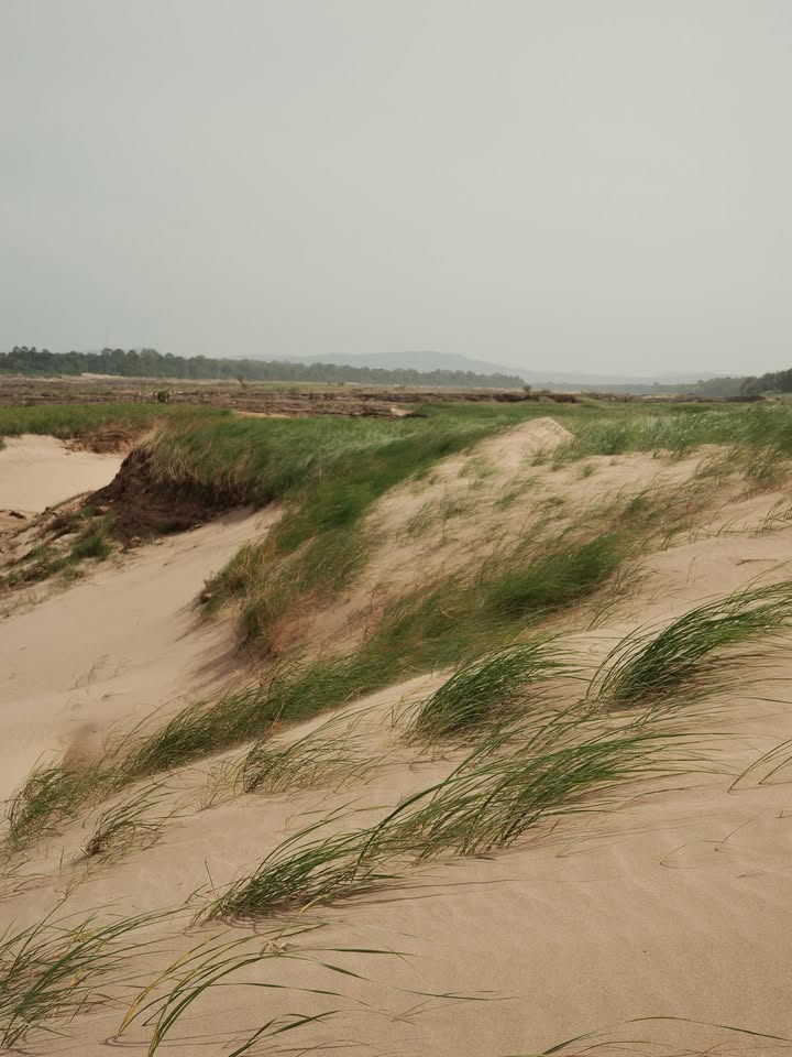 แชมป์ - ชนาธิป โพธิ์ทองคำ