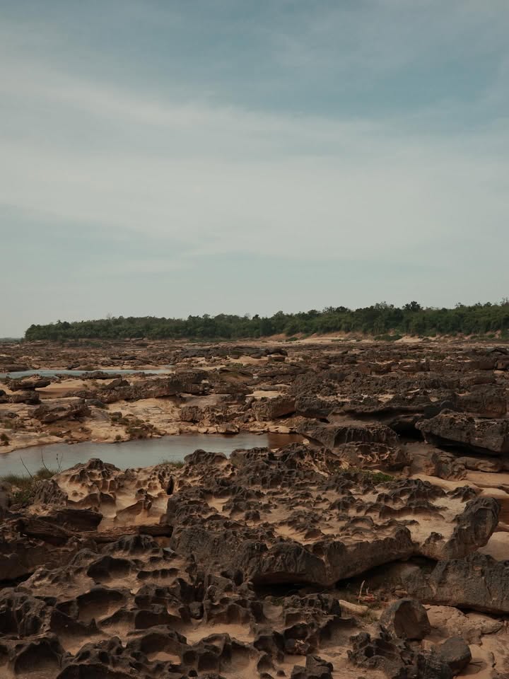 แชมป์ - ชนาธิป โพธิ์ทองคำ