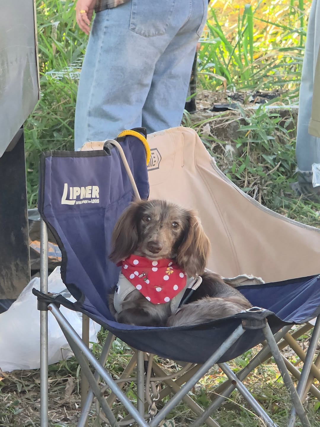 แชมป์ - ชนาธิป โพธิ์ทองคำ