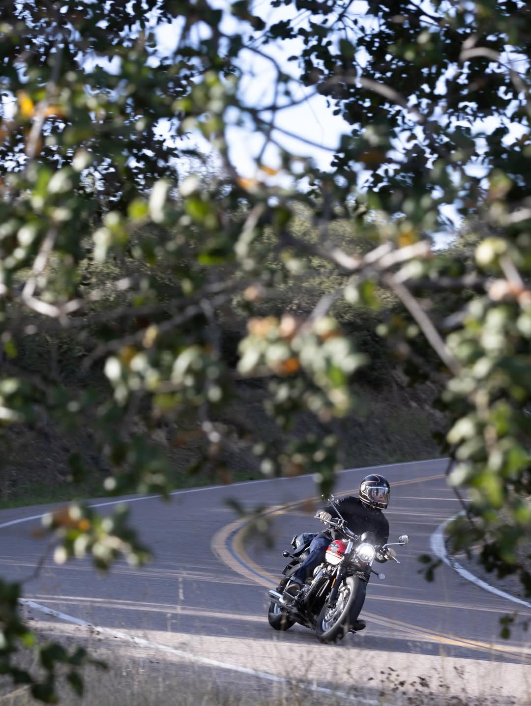 แชมป์ - ชนาธิป โพธิ์ทองคำ