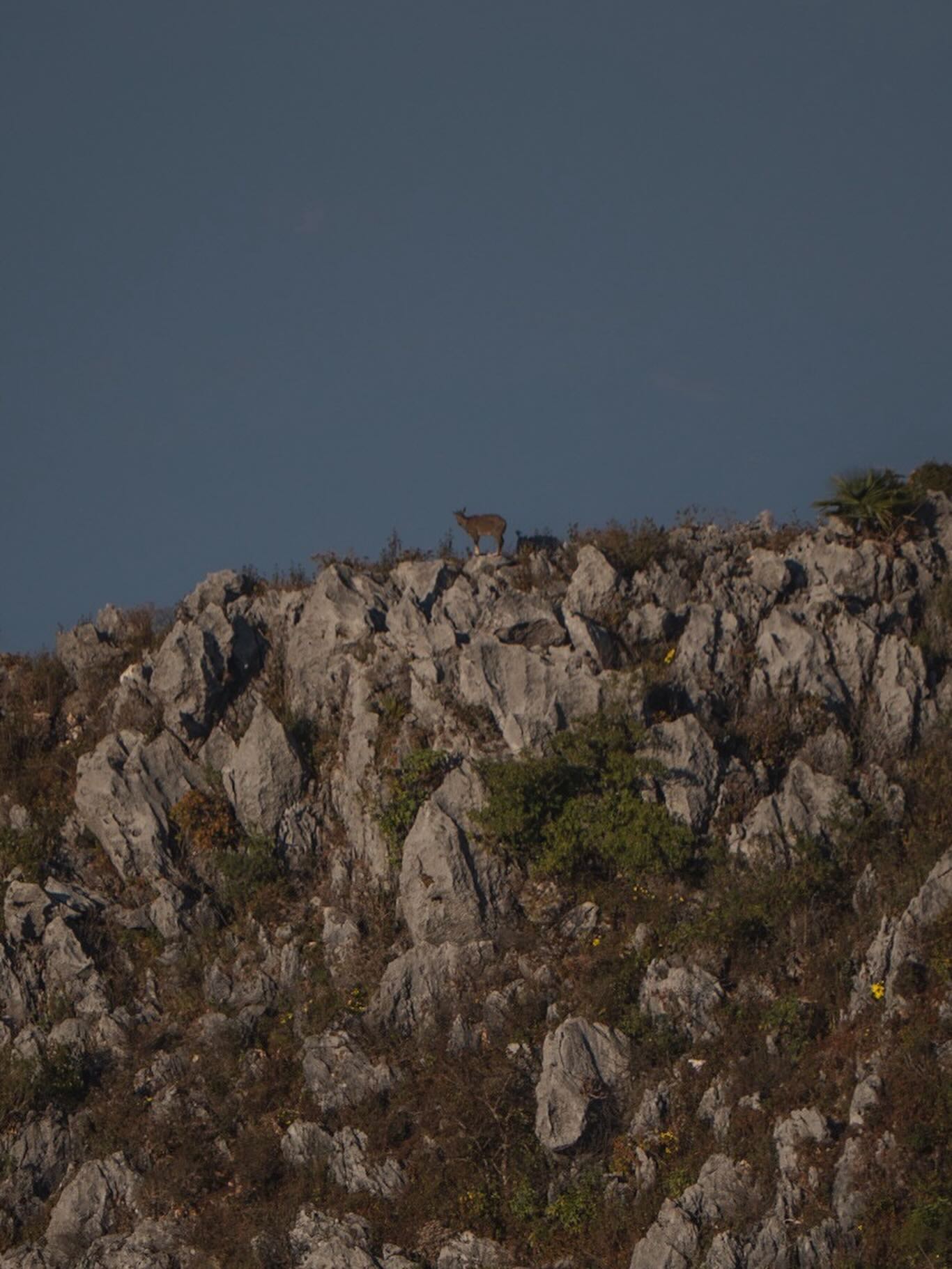 แชมป์ - ชนาธิป โพธิ์ทองคำ