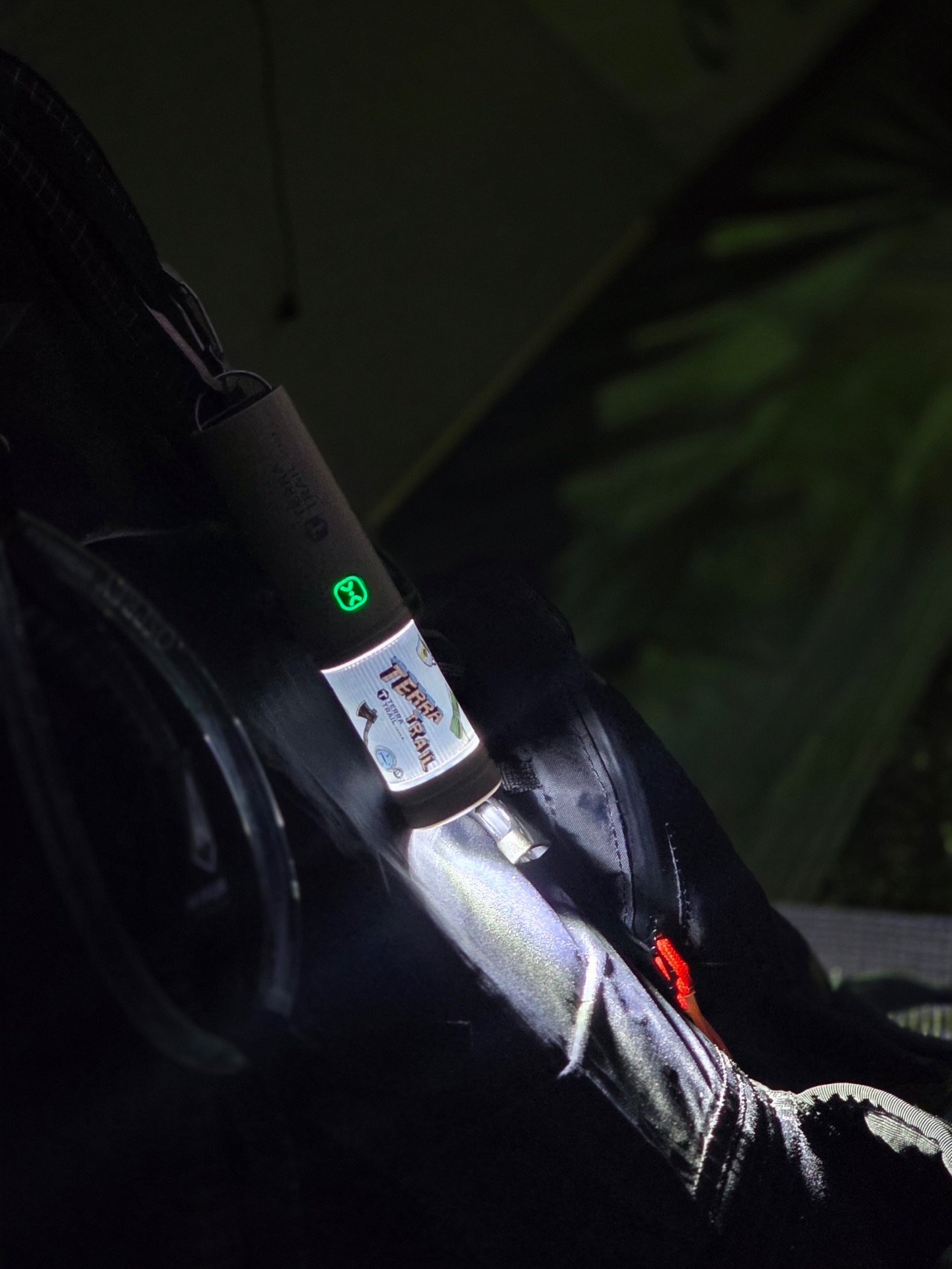 แชมป์ - ชนาธิป โพธิ์ทองคำ