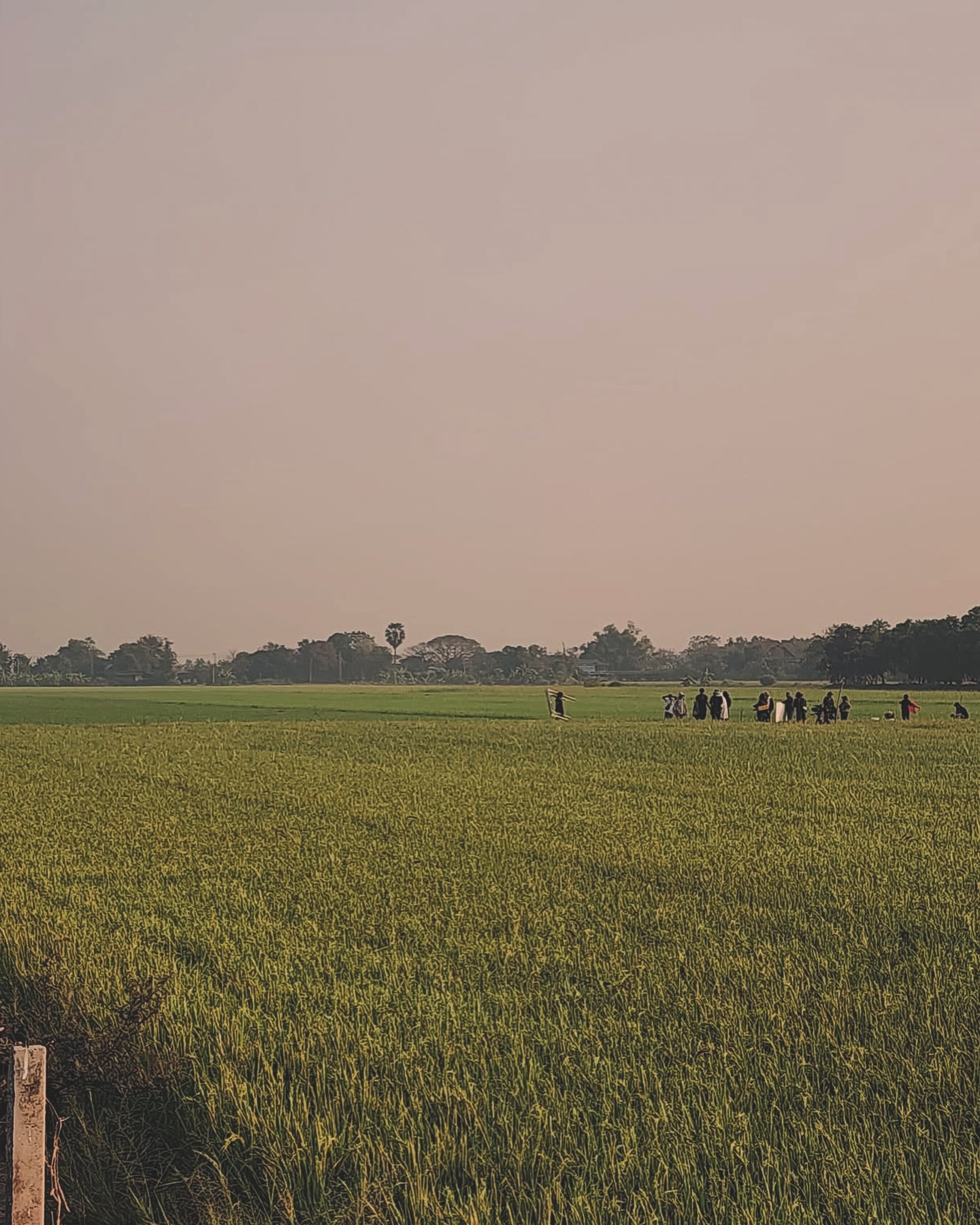 เพื่อน - คณิน ชอบประดิถ