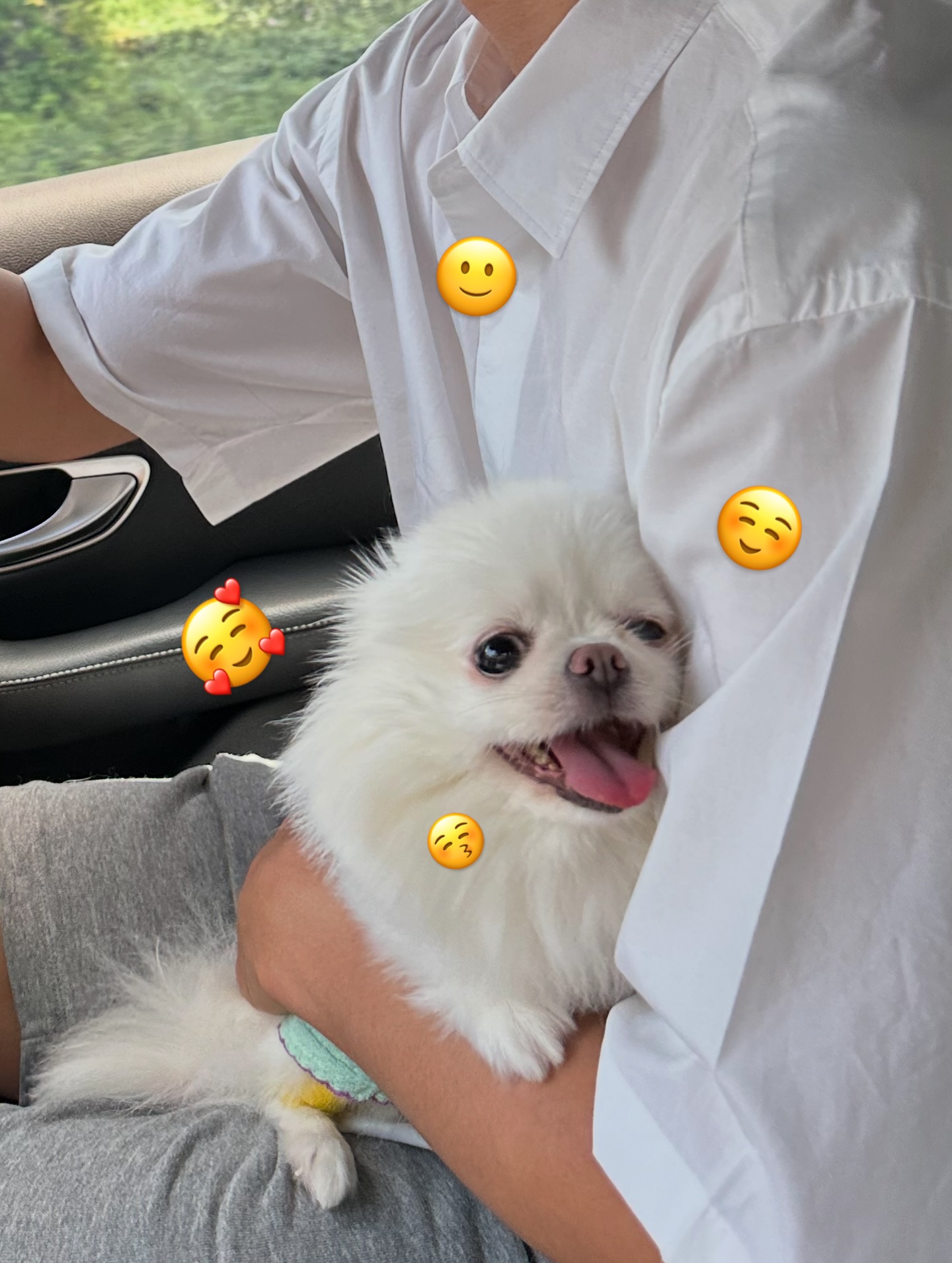 เพื่อน - คณิน ชอบประดิถ