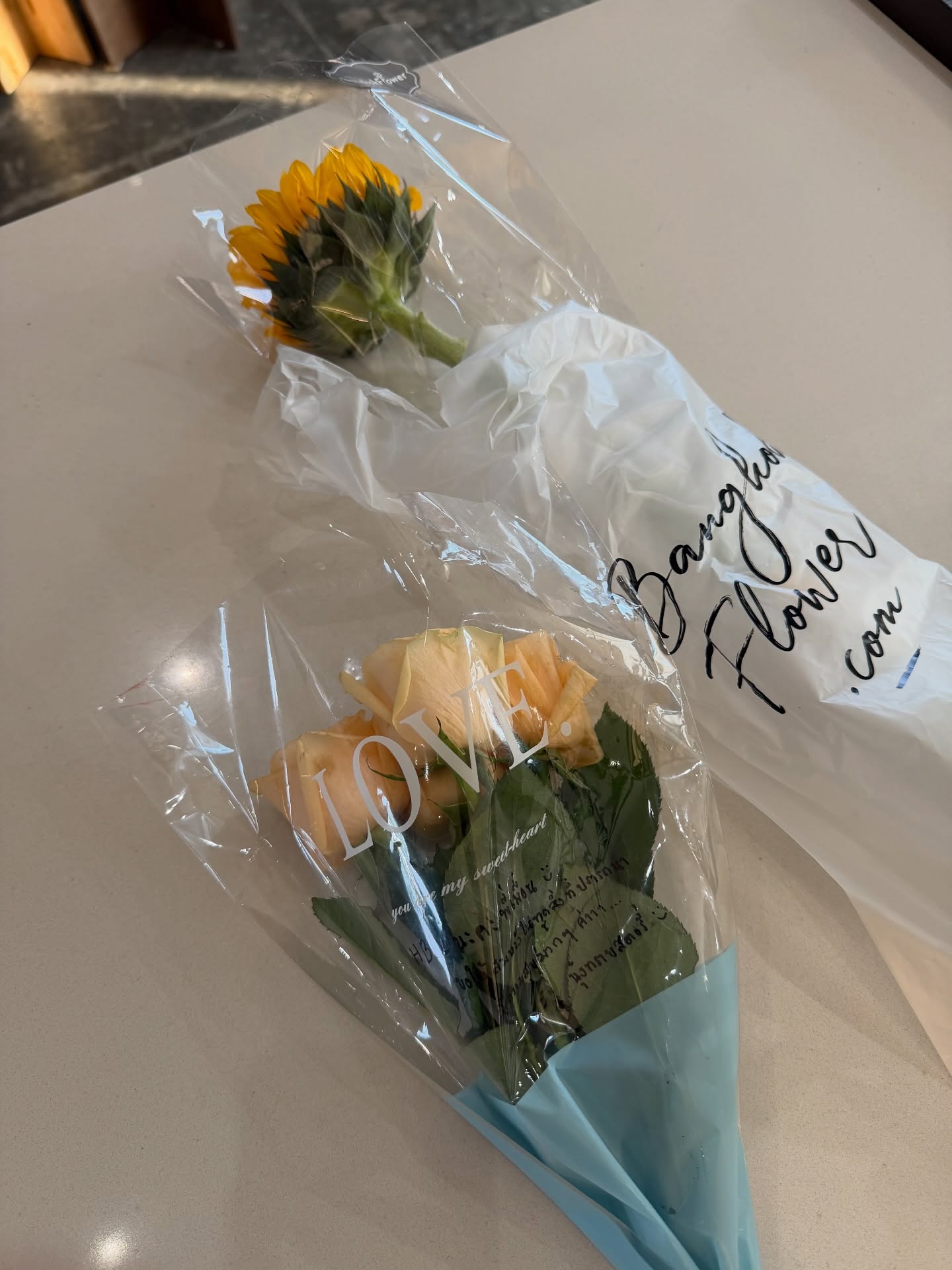 เพื่อน - คณิน ชอบประดิถ