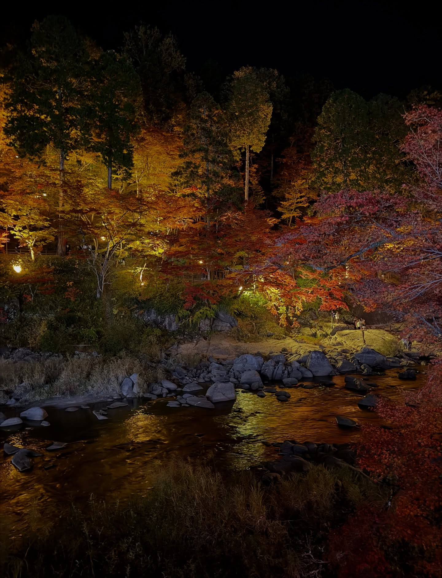 เพื่อน - คณิน ชอบประดิถ