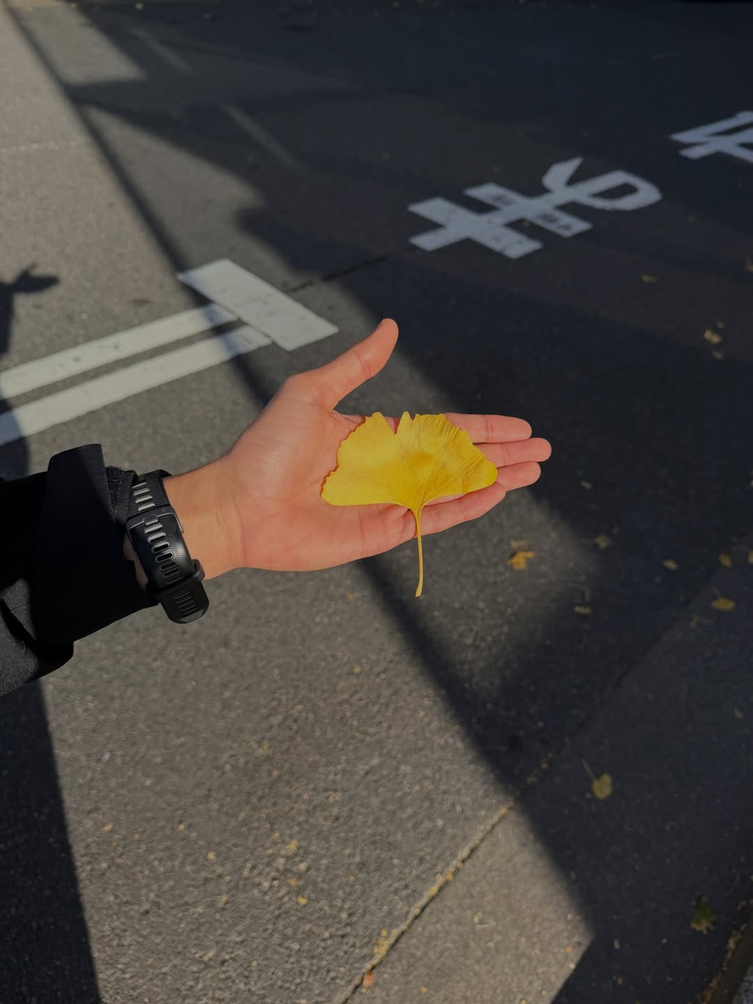 เพื่อน - คณิน ชอบประดิถ