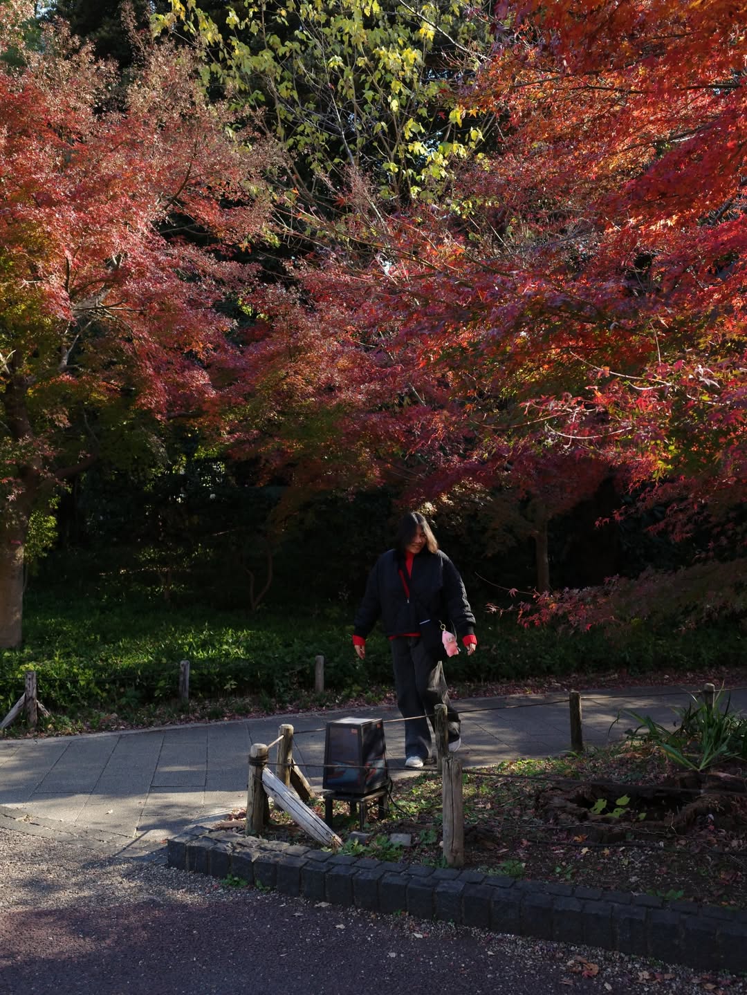 เพื่อน - คณิน ชอบประดิถ