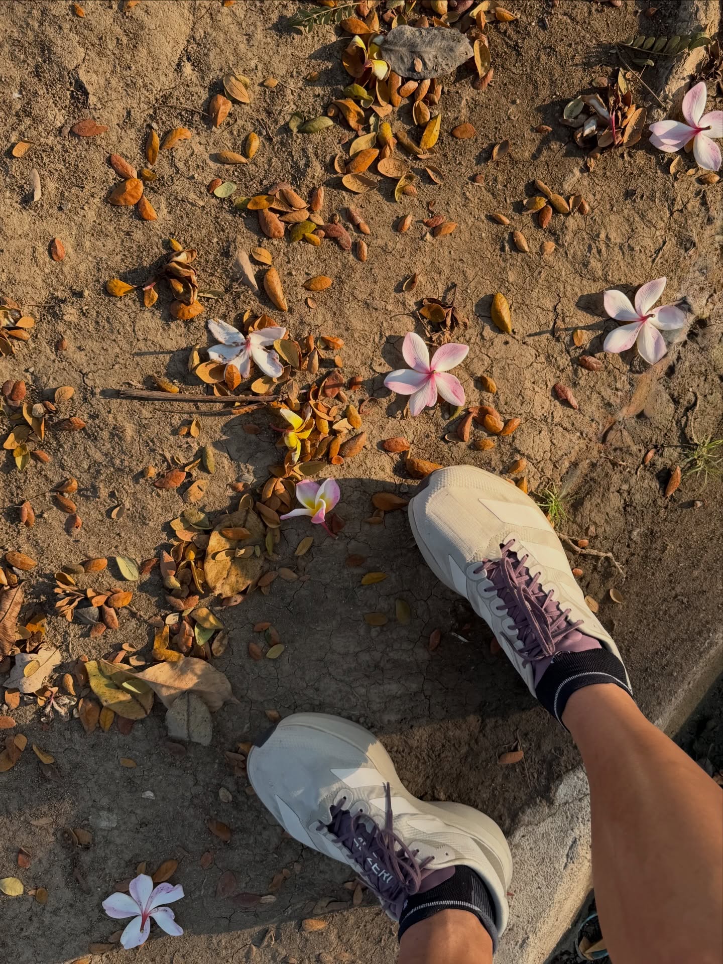 เพื่อน - คณิน ชอบประดิถ