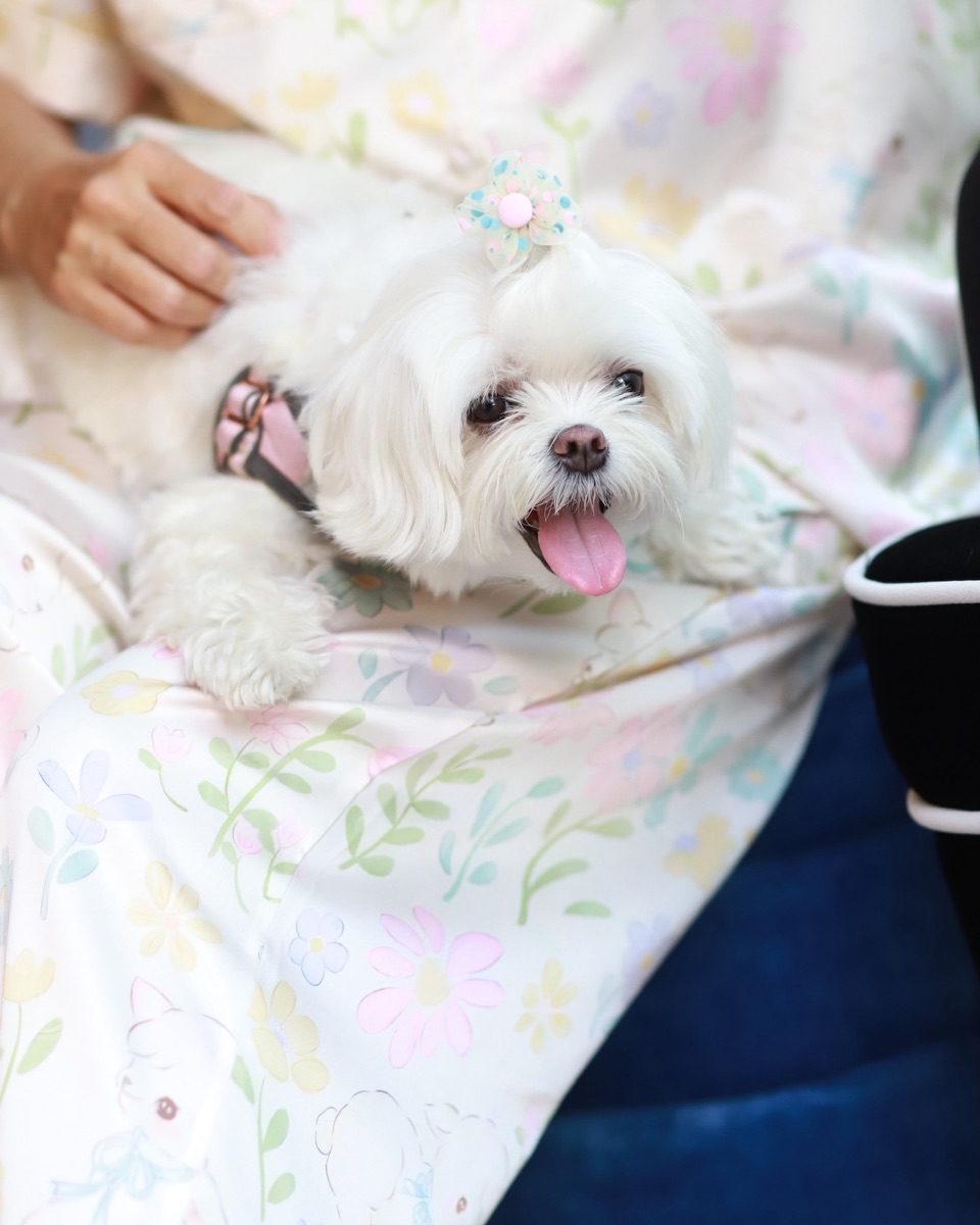 แอน - สิเรียม ภักดีดำรงฤทธิ์