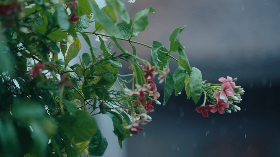 แม็กซ์ - ณัฐวุฒิ เจนมานะ