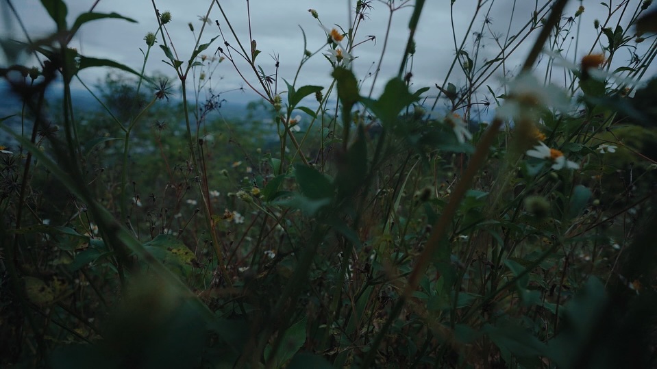 แม็กซ์ - ณัฐวุฒิ เจนมานะ