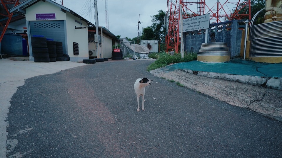 แม็กซ์ - ณัฐวุฒิ เจนมานะ